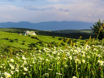 شعار یا وعده!